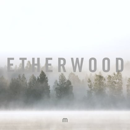 Climbing (Radio Edit) album by Etherwood - Drum and Bass Cover Art