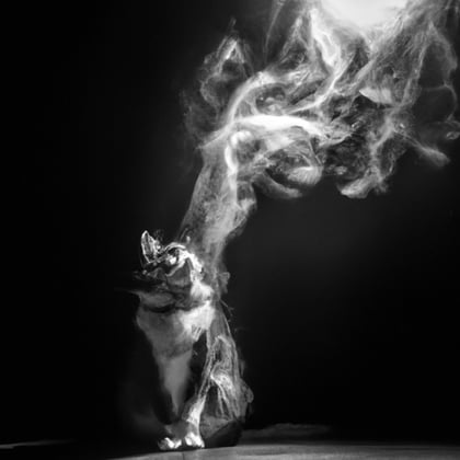 AIR album by Zombie Cats - Drum and Bass Cover Art