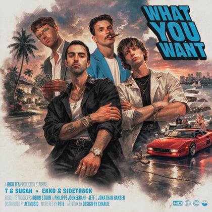 What You Want album by T & Sugah & Ekko & Sidetrack - Drum and Bass Cover Art