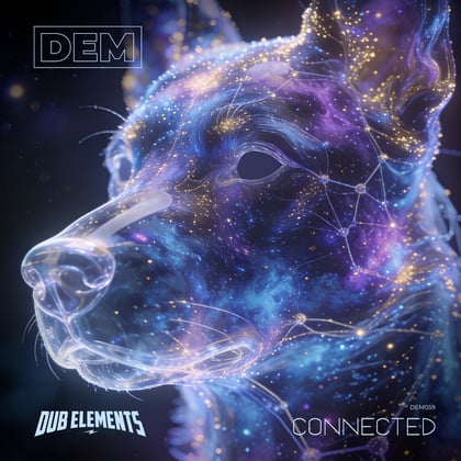 Connected album by Dub Elements - Drum and Bass Cover Art