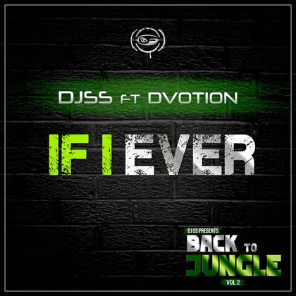 If I Ever album by DJ SS & Samurai Breaks - Drum and Bass Cover Art