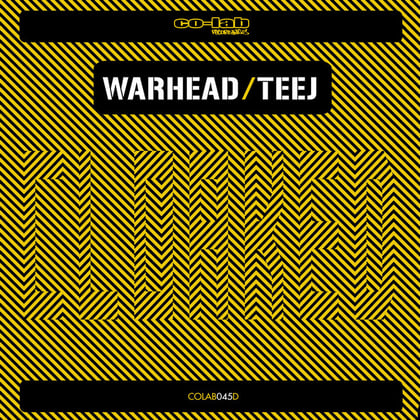 Cloaked EP album by Warhead & Teej - Drum and Bass Cover Art
