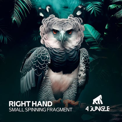 Small Spinning Fragment album by Right Hand - Drum and Bass Cover Art