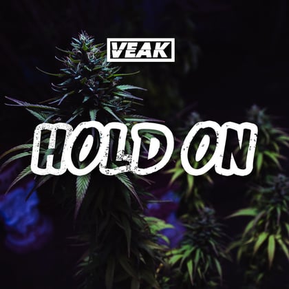 Hold On album by Salaryman & Veak - Drum and Bass Cover Art