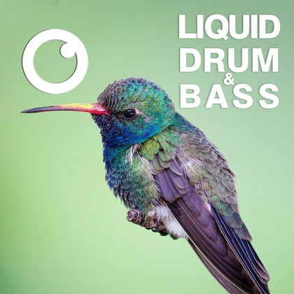 Liquid Drum & Bass Sessions 2021 Vol 45 : The Mix album by Dreazz - Drum and Bass Cover Art