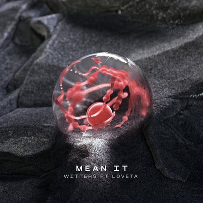Mean It album by Witters - Drum and Bass Cover Art
