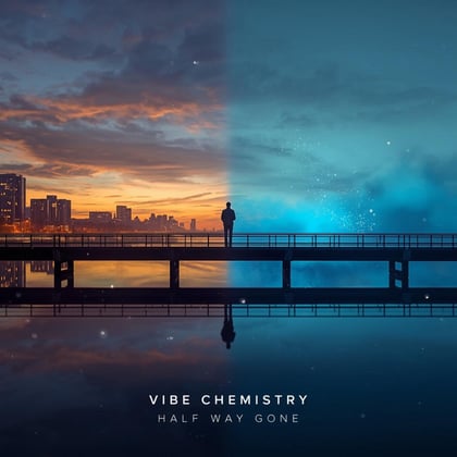 Half Way Gone album by Vibe Chemistry - Drum and Bass Cover Art