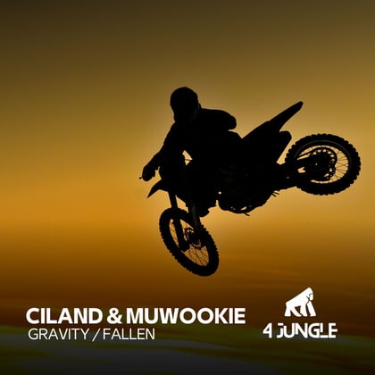 Gravity / Fallen album by Muwookie - Drum and Bass Cover Art