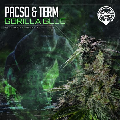 Gorilla Glue album by Pacso - Drum and Bass Cover Art