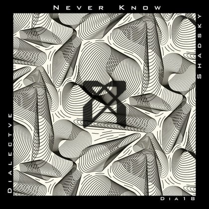 Never Know album by Dialective - Drum and Bass Cover Art