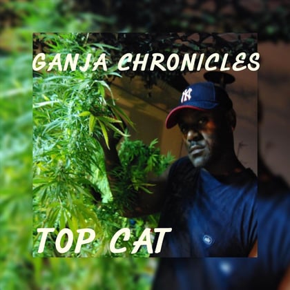 Ganja Chronicles album by Top Cat & Hidden Turn - Drum and Bass Cover Art