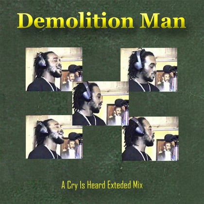 A Cry Is Heard (Extended Mix) album by Demolition Man - Drum and Bass Cover Art