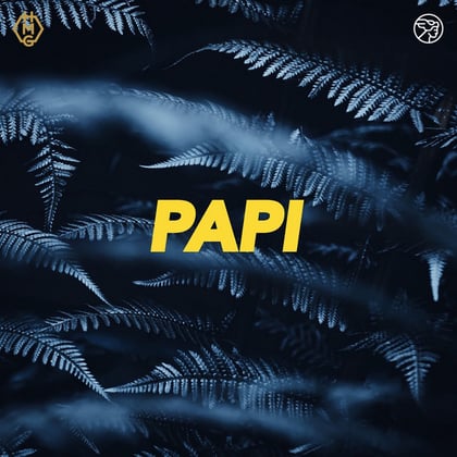 Papi album by Goldie - Drum and Bass Cover Art