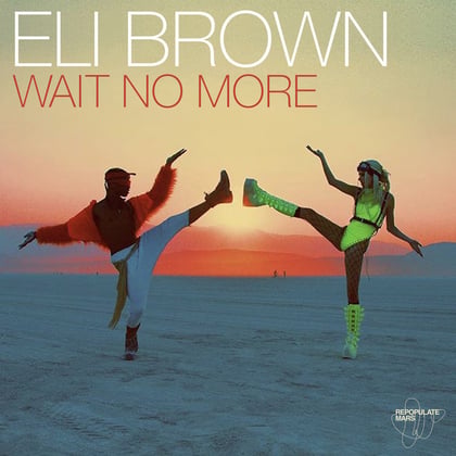 Wait No More album by Sub Focus & Eli Brown - Drum and Bass Cover Art