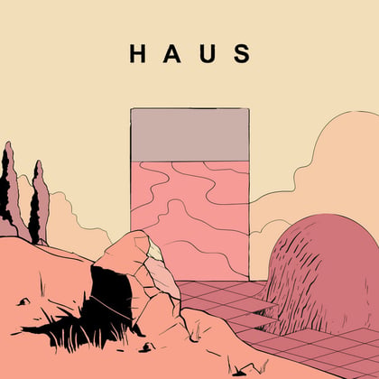 HAUS album by Fanu - Drum and Bass Cover Art