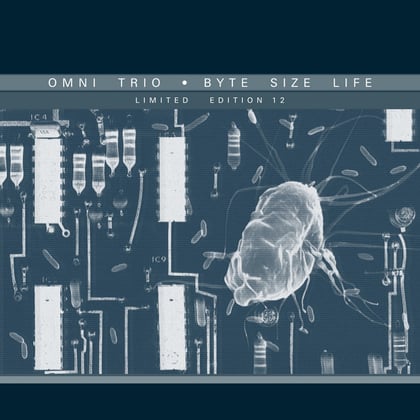 Byte Size Life / Twin Town Karaoke (Silent Storm Remix) album by Omni Trio - Drum and Bass Cover Art