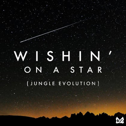 Jungle Evolution album by Ed Solo, Dope Ammo & Rio Hellyer - Drum and Bass Cover Art
