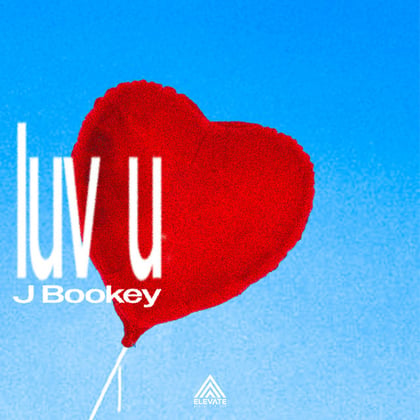 Luv U album by Bookey & J Bookey - Drum and Bass Cover Art