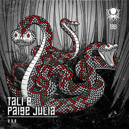 233 album by Paige Julia - Drum and Bass Cover Art