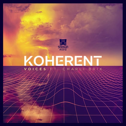 Voices album by Koherent - Drum and Bass Cover Art