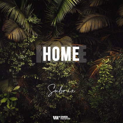 Home album by Subrix - Drum and Bass Cover Art