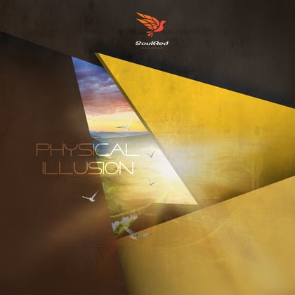 Original Soul album by Physical Illusion - Drum and Bass Cover Art