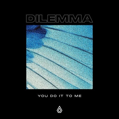 You Do It To Me album by Dilemma - Drum and Bass Cover Art