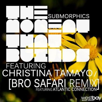 The Moment that Builds album by Submorphics - Drum and Bass Cover Art