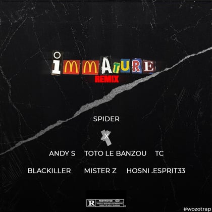 Immature remix album by TC - Drum and Bass Cover Art