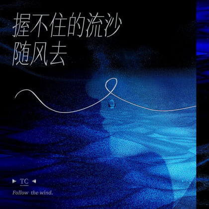 握不住的流沙随风去 album by TC - Drum and Bass Cover Art