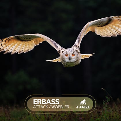 Attack / Wobbler album by ERBass - Drum and Bass Cover Art
