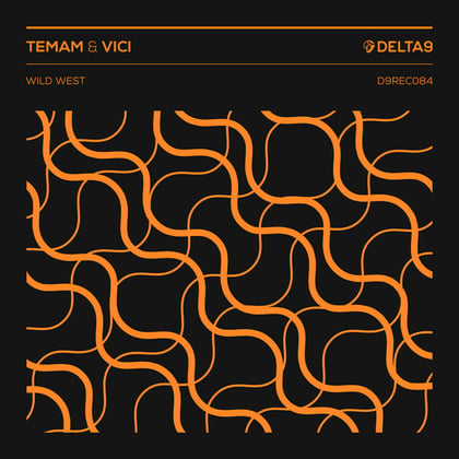 Wild West album by Temam & Vici - Drum and Bass Cover Art