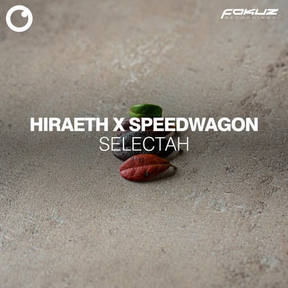 Selectah album by Hiraeth & Speedwagon - Drum and Bass Cover Art