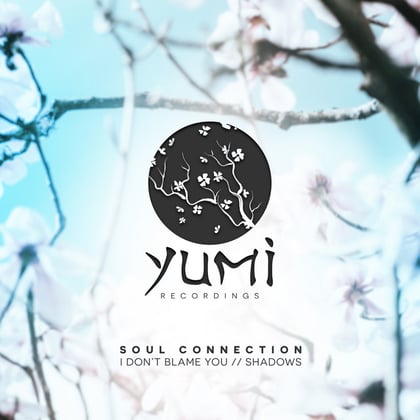 I Don´t Blame You/Shadows album by Soul Connection - Drum and Bass Cover Art