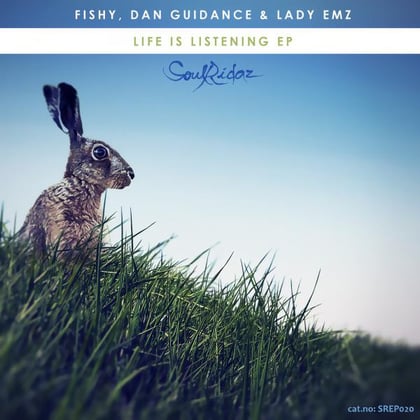 Life Is Listening EP album by Dan Guidance - Drum and Bass Cover Art