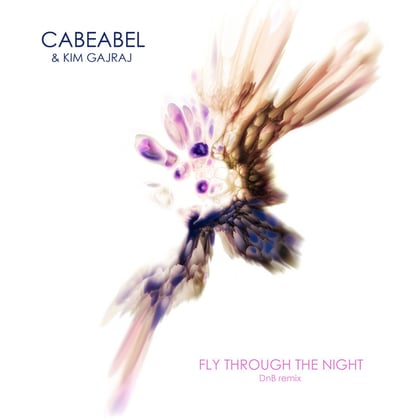 Fly Through the Night (DnB remix) album by Cabeabel - Drum and Bass Cover Art