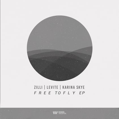 Free to Fly album by Levite - Drum and Bass Cover Art