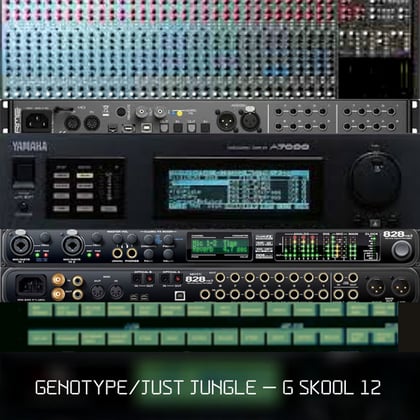 G Skool Vol 12 album by Genotype - Drum and Bass Cover Art