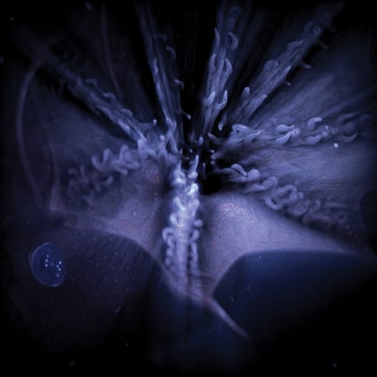 Infra Aqual album by Subp Yao - Drum and Bass Cover Art