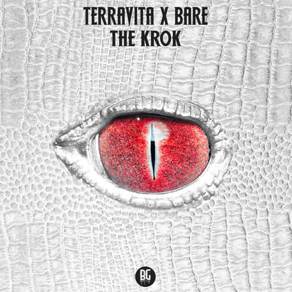 The Krok album by Terravita - Drum and Bass Cover Art