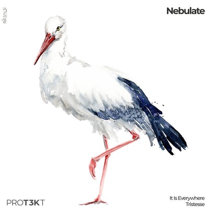 It Is Everywhere/Tristesse album by Nebulate - Drum and Bass Cover Art