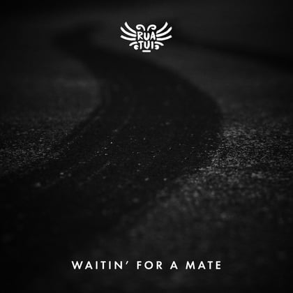 Waitin' For A Mate album by Rua Tui - Drum and Bass Cover Art