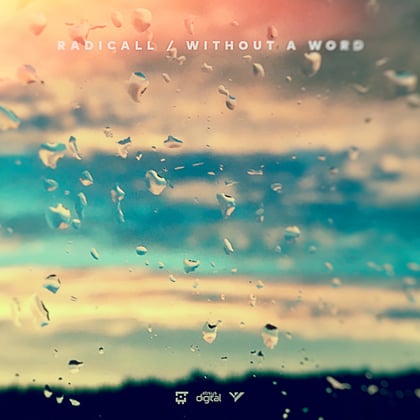 Without A Word album by Radicall - Drum and Bass Cover Art