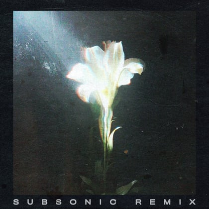 Light That Leads Me (with Bebe Rexha) [Subsonic Remix] album by Subsonic - Drum and Bass Cover Art