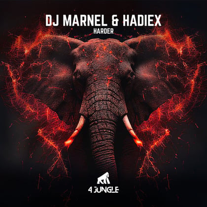 Harder album by DJ Marnel - Drum and Bass Cover Art