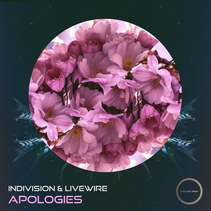Apologies (Grafix Remix) album by Indivision - Drum and Bass Cover Art