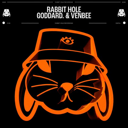 rabbit hole. album by goddard. - Drum and Bass Cover Art