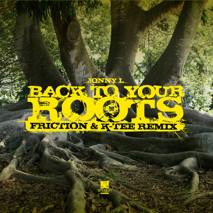 Back to Your Roots album by Jonny L - Drum and Bass Cover Art