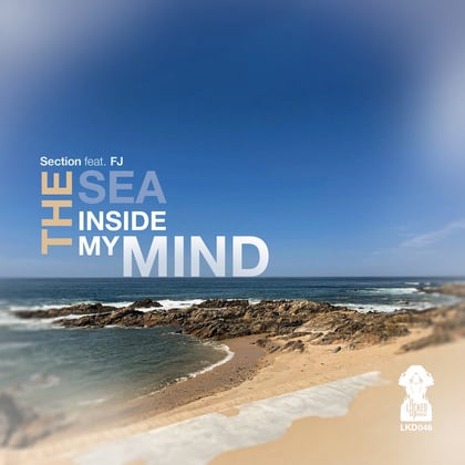 The Sea Inside My Mind album by FJ & Section - Drum and Bass Cover Art