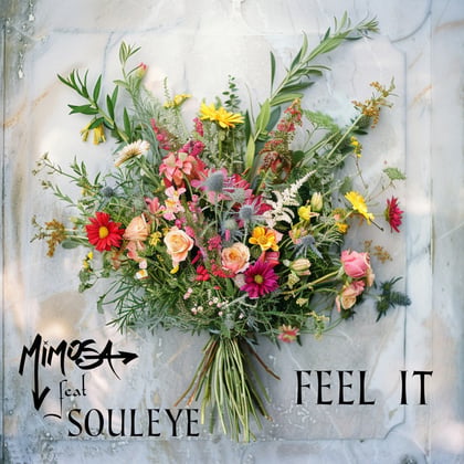 Feel It album by MiM0SA - Drum and Bass Cover Art